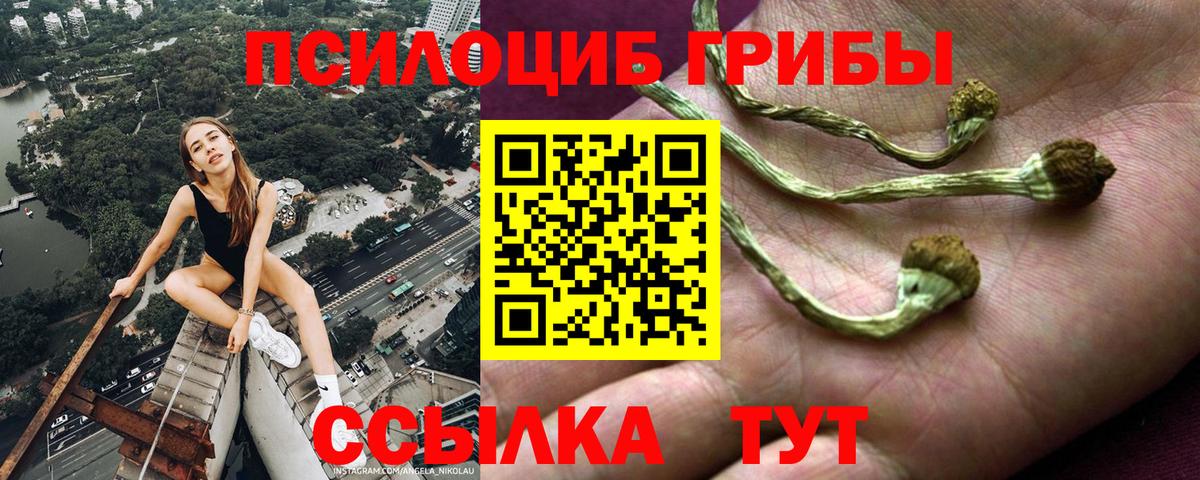 Можайск  продажа наркотиков  Вход с VPN  Галлюциногенные грибы GOLDEN TEACHER 